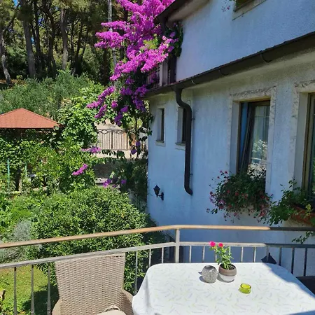 شقة Ljiljana بولا